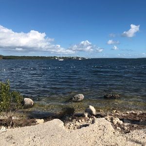 Meet your Posher, Cynthia